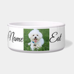 Comedero Personalizado Dog Photo Name Bowl