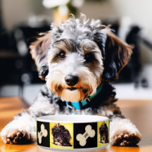 Personalizado el tazón de perro medio Schnoodle