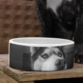 Comedero Personalizado Foto mascota de gato de perro person