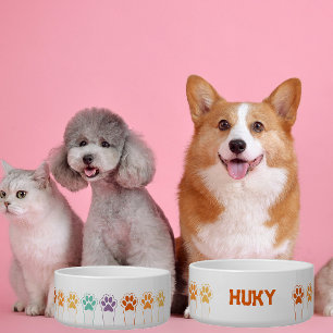 Comedero Personalizado Mascota Nombre Paws Cute Colorful