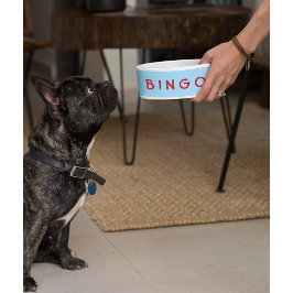 Comedero Personalizado Mascota Personalizado Perro Nombre G