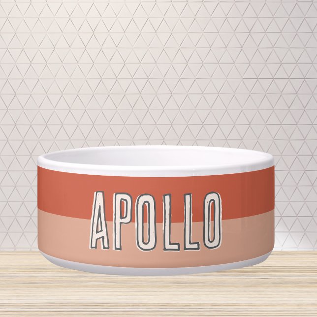 Comedero Personalizado Moderno Nombre De Mascota De Dos Ton (Customize this fun, modern dog bowl with your pet's name! )