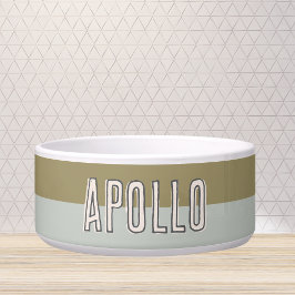 Comedero Personalizado Moderno Nombre De Mascota De Dos Ton