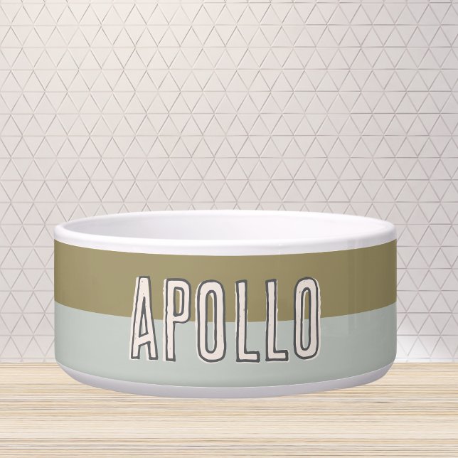 Comedero Personalizado Moderno Nombre De Mascota De Dos Ton (Customize this fun, modern dog bowl with your pet's name! )