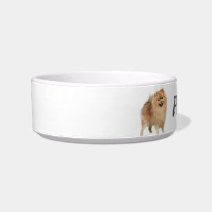 Comedero Personalizado Pomeranian Dog Mascota Animal