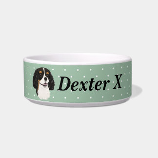 Comedero Personalizado Tri Cavalier King Charles Spaniel
