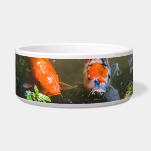 Comedero Pescado de Koi en un estanque