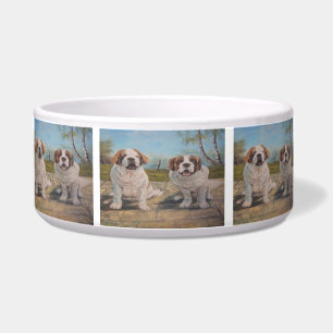 Comedero Pet Bowl Ann Hayes Pintando Dos San Bernardo