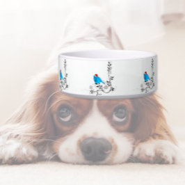 Comedero Petirrojo en Navidad