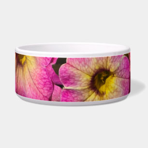 Comedero Petunias rosas