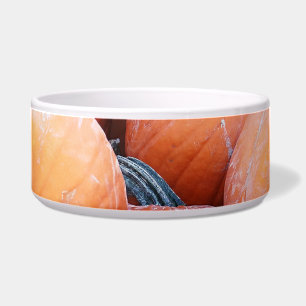 Comedero Pila de calabaza de caída
