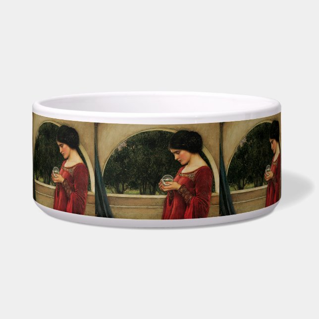 Comedero Pintura de la casa de agua de Crystal Ball Woman (Frente)