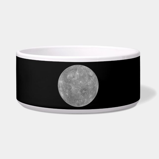 Comedero Planet Mercury (Frente)