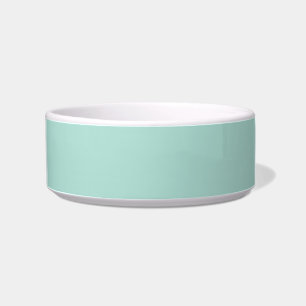 Comedero planicie de menta verde de marisco minimalista