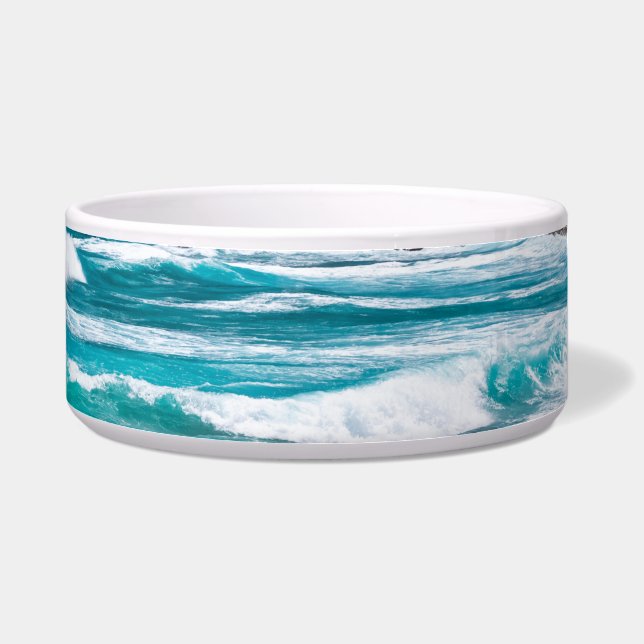 Comedero Pointe des Chateaux, Grande-Terre, Guadalupe (Derecha)