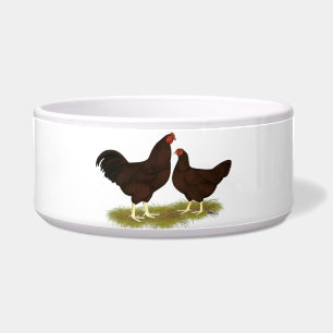 Comedero Pollos de Buckeye