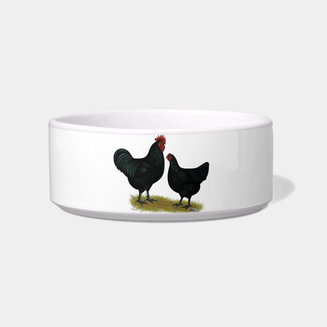 Comedero Pollos de Jersey Giant (Frente)