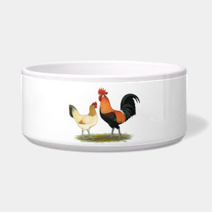 Comedero Pollos de Penedesenca