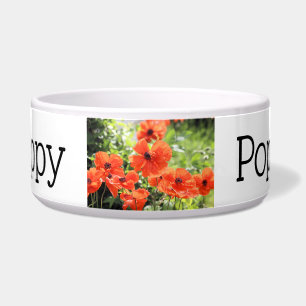 Comedero Poppies