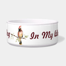 Por el mejor perro... el cardenal Bird Dog Bowl