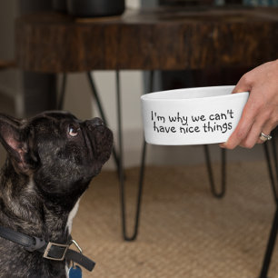 Comedero Por qué no podemos tener cosas buenas divertidas