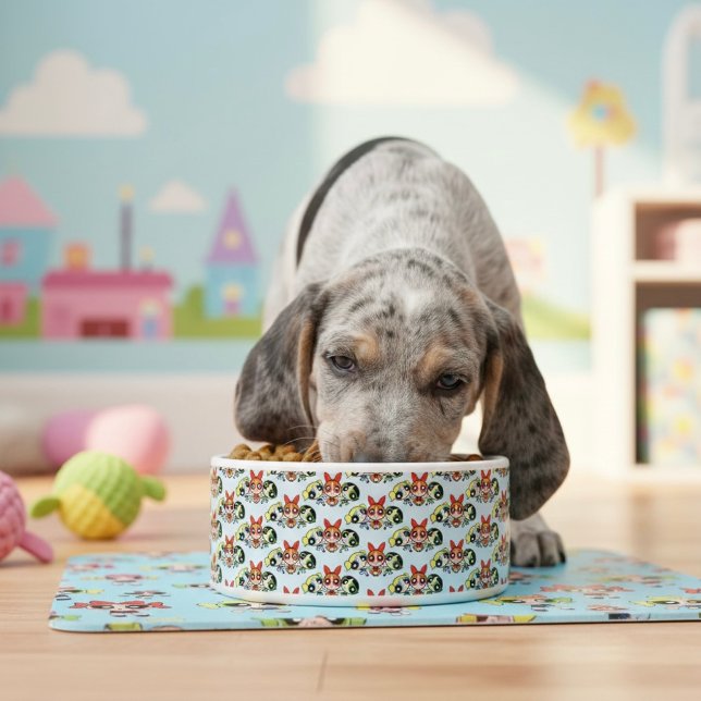 Comedero powerpuff girls Bowl (Subido por el creador)