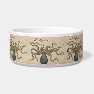 Comedero Pulpo Kraken Antiguo Marino Vida Silvestre Costera