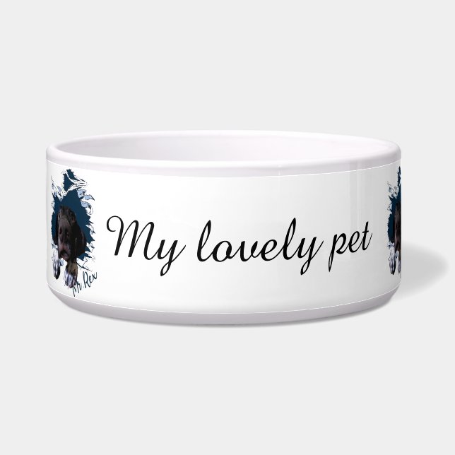 Comedero Punta de flecha alemán de pelo corto,pañuelo de ca (Izquierda)