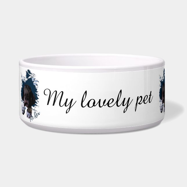 Comedero Puntero alemán al descubierto, cara graciosa Banda (Izquierda)