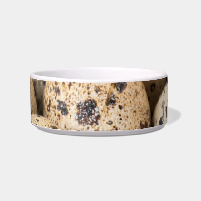 Comedero Quail Eggs (Derecha)