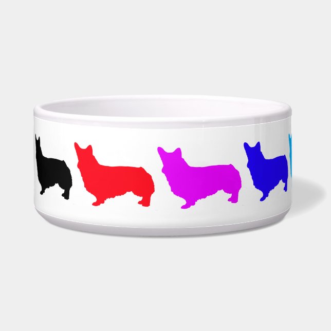 Comedero Rainbow Corgu 2 Pet Bowl (Izquierda)