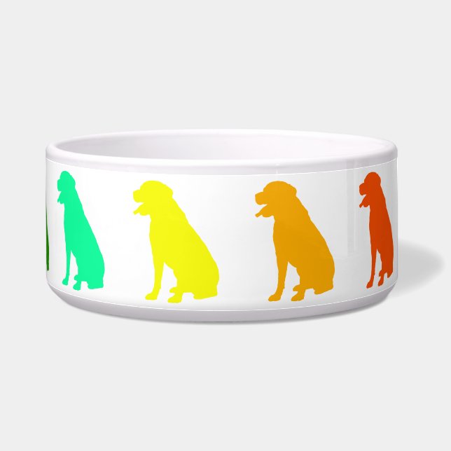 Comedero Rainbow Labrador Pet Bowl (Derecha)
