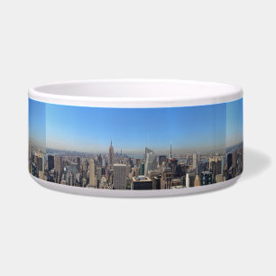 Comedero Rascacielos De La Ciudad De Nueva York Destino Est