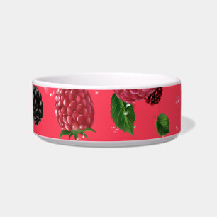Comedero Raspberry
