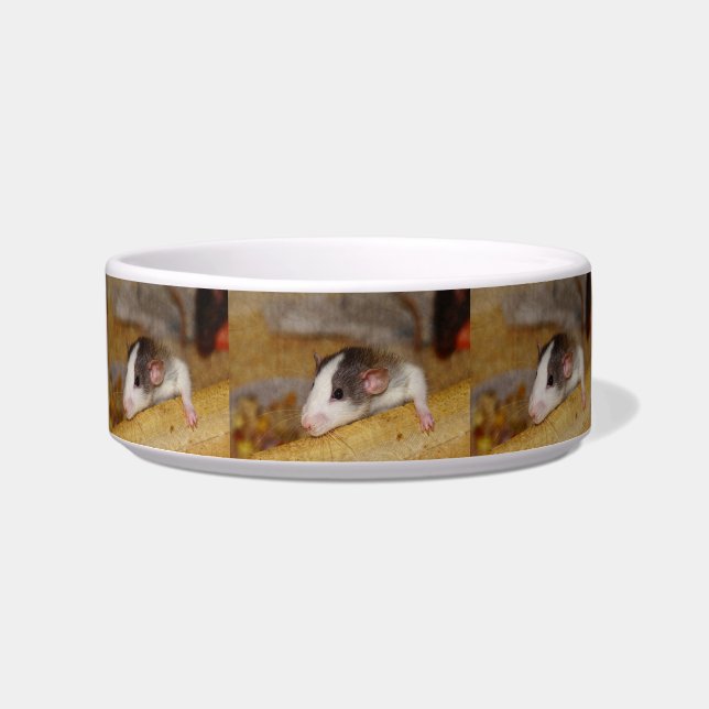 Comedero Rata Cuta (Frente)