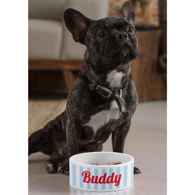 Comedero Rayas blancas azules Perro Perro Perro Nombre gato (Blue White Stripes Dog Puppy Cat Name Cute Food Bowl)