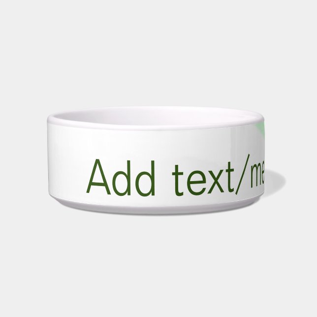 Comedero Rayas de naranja verde agregar mensaje de texto de (Frente)