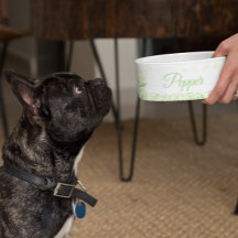 Regalo del personalizado Personalizado Perro Gato