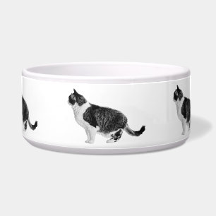 Comedero Reloj de comidas, forma calmada