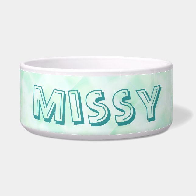 Comedero Resumen de Pet Bowl (Frente)