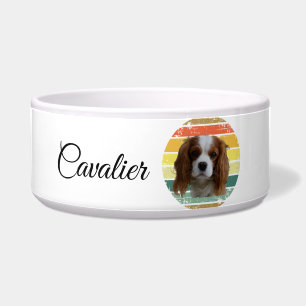 Comedero Retro 1980 Blenheim Cavalier Rey Carlos Español 