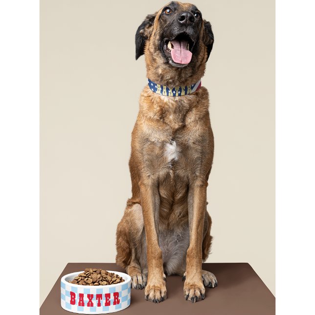 Comedero Retro Blue White Checkpoint Dog Puppy Cat Name Foo (Retro Blue White Checkered Dog Puppy Cat Name Food Bowl)