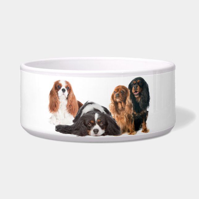 Comedero Rey Charles Cavalier Spaniel (Frente)