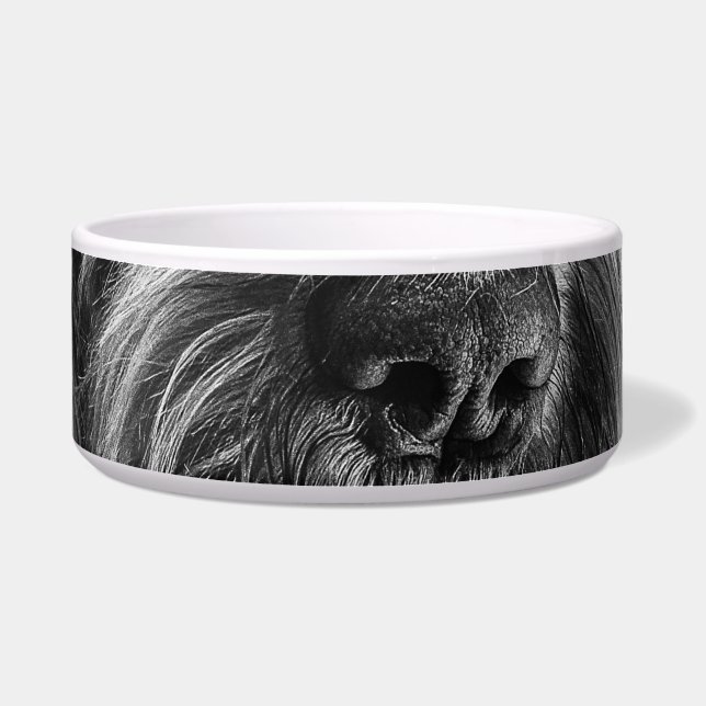 Comedero Rincón de la Cena Spinone (Frente)