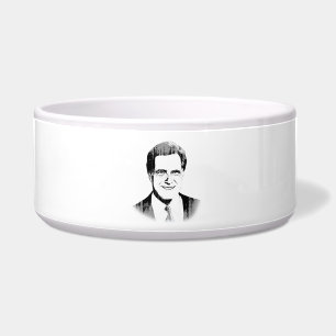 Comedero Romney 2.png principal