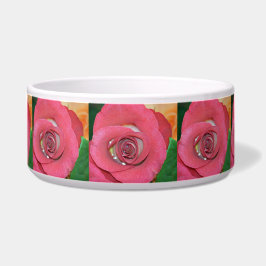 Comedero Rosa_2015_0411