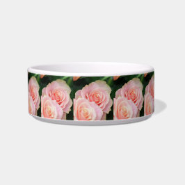 Comedero Rosa_2015_0412