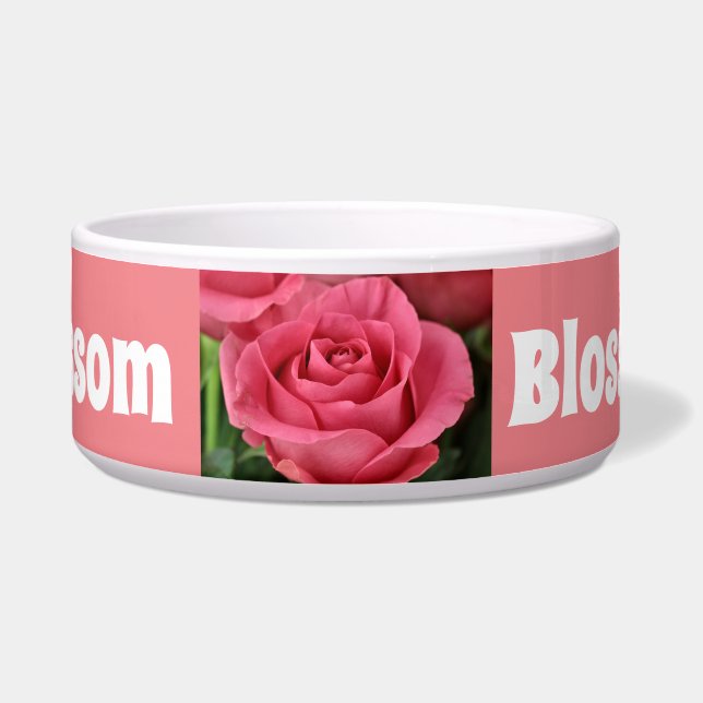 Comedero Rosa brillante (Frente)