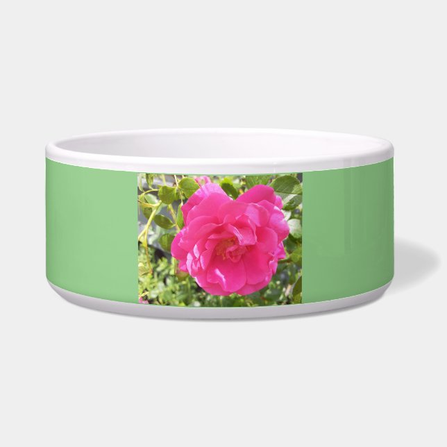 Comedero Rosa rosa (Frente)