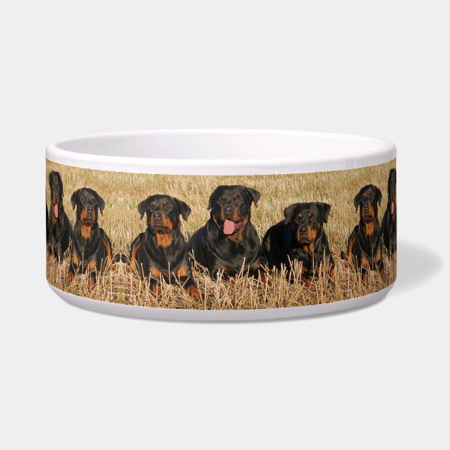Comedero Rottweilers (Izquierda)